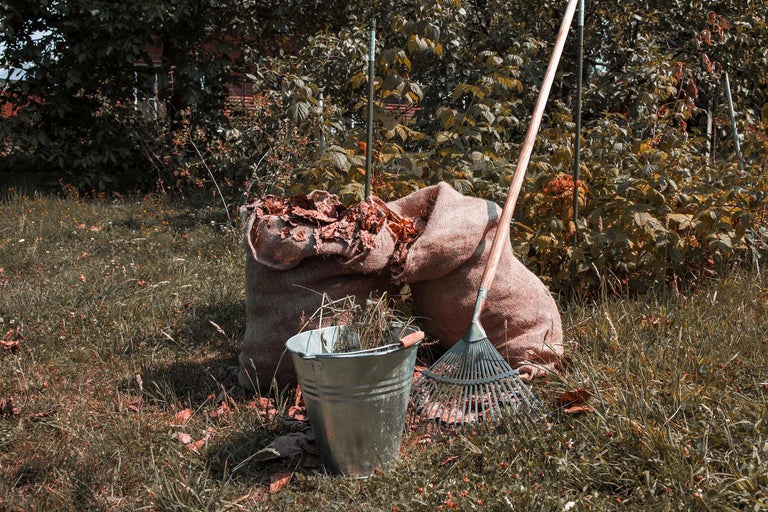 Twee zakken gevuld met bladeren, een metalen emmer met gras en een bladhark in de tuin.