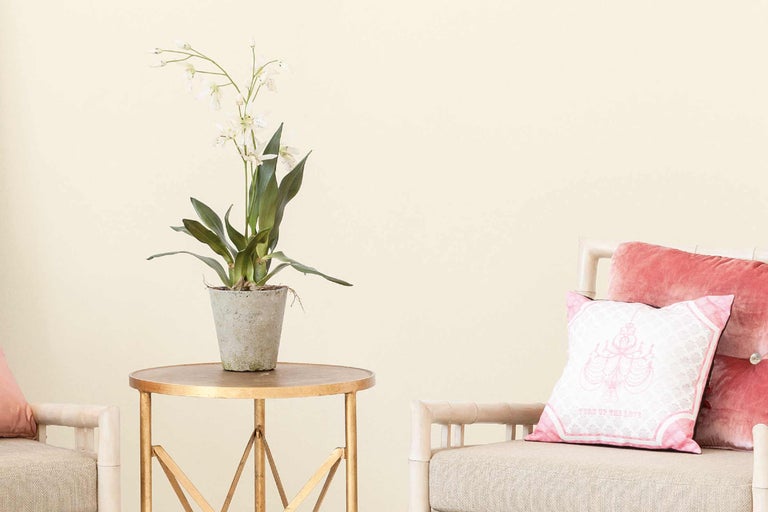 Decoratief interieur met tafel, kamerplant en kussens