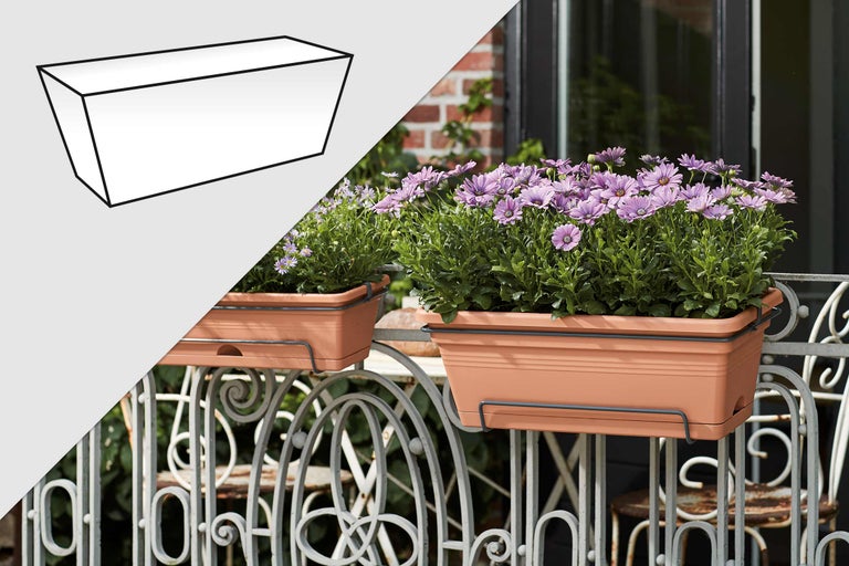 Twee rechthoekige, terracotta-kleurige balkonbakken met beugels, beplant met paarse madeliefjes op een decoratief balkonhek.
