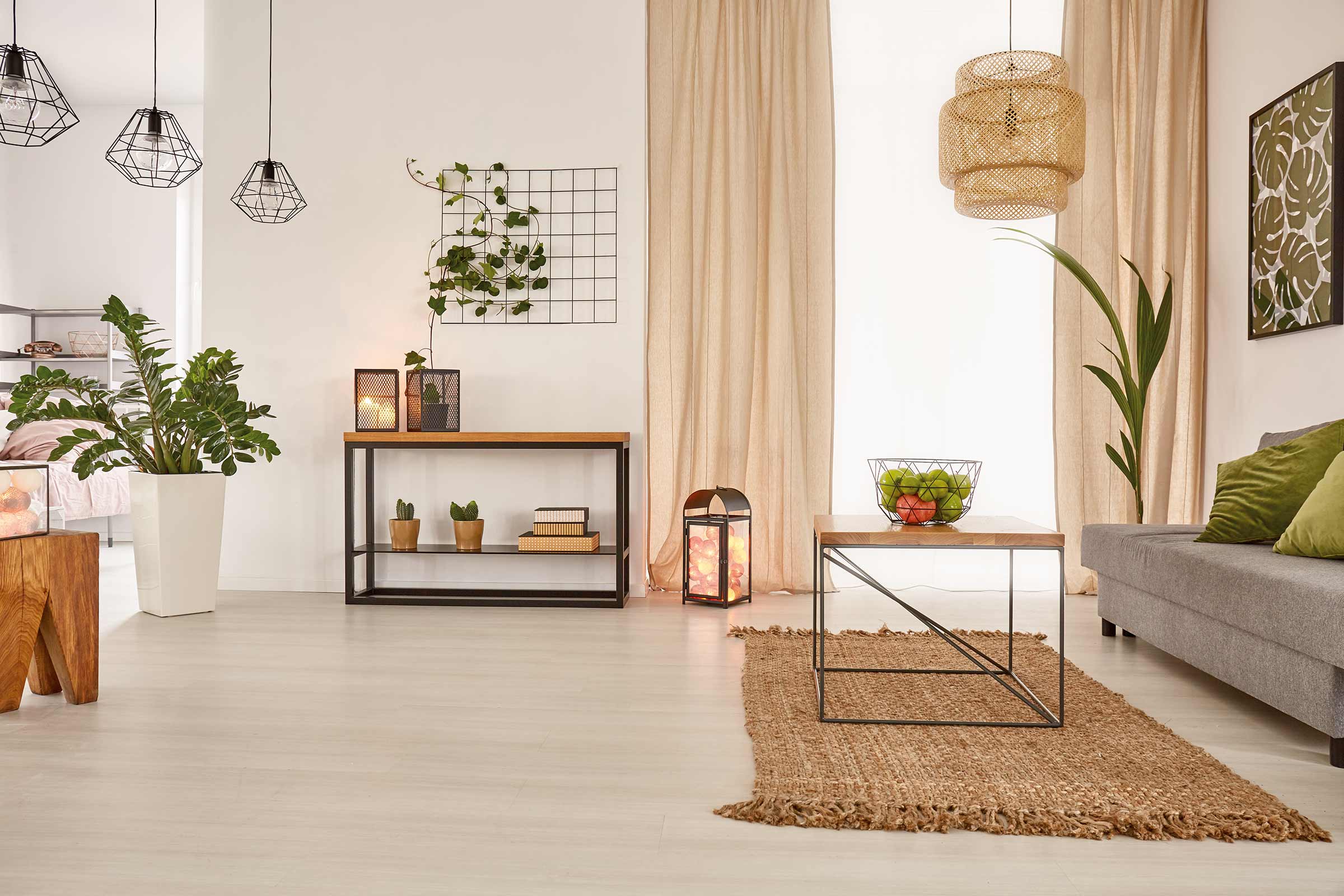 Woonkamer met bank, tafel, vloerkleed en planten