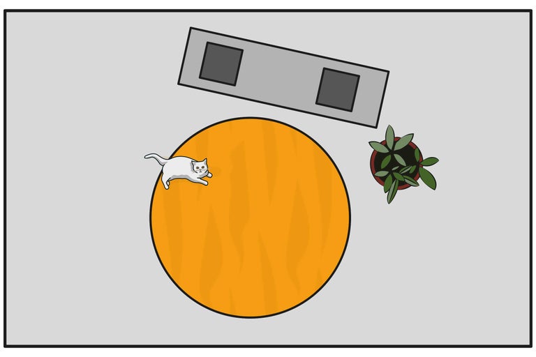 Bovenaanzicht van een tafel met een kamerplant, een dienblad, een vloerkleed en een kat