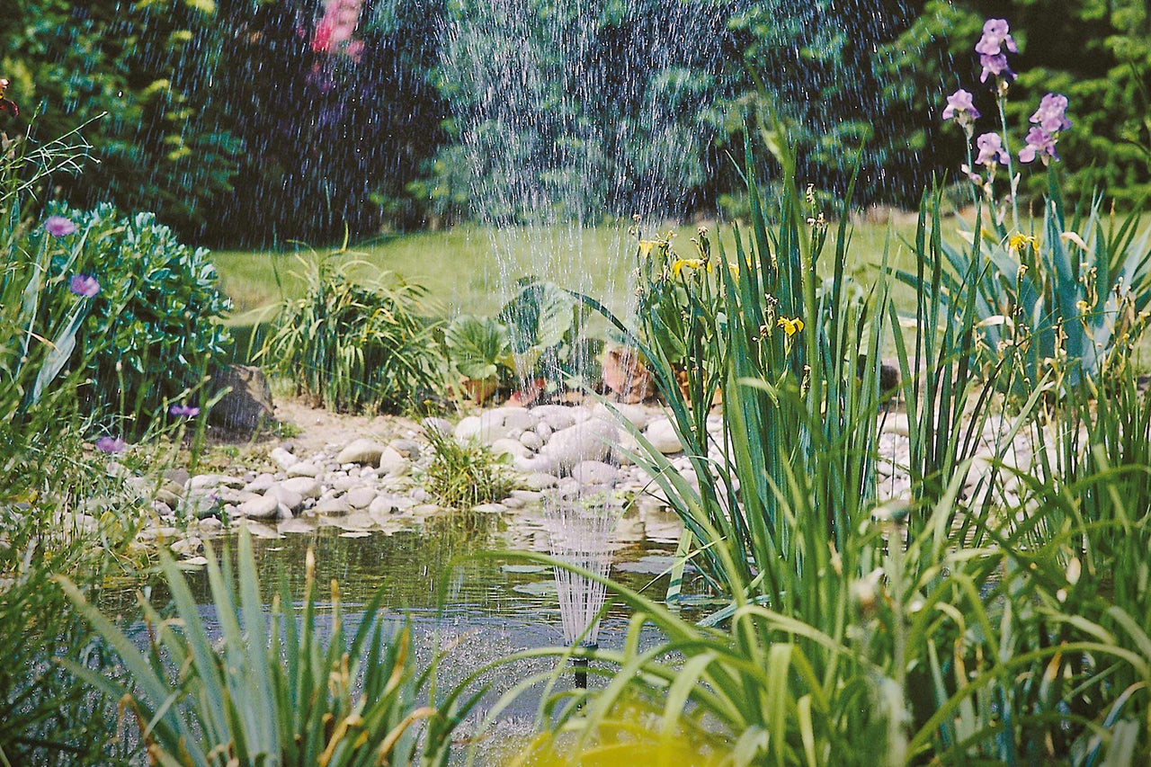 Vijver met fontein en weelderige oeverbeplanting in de tuin