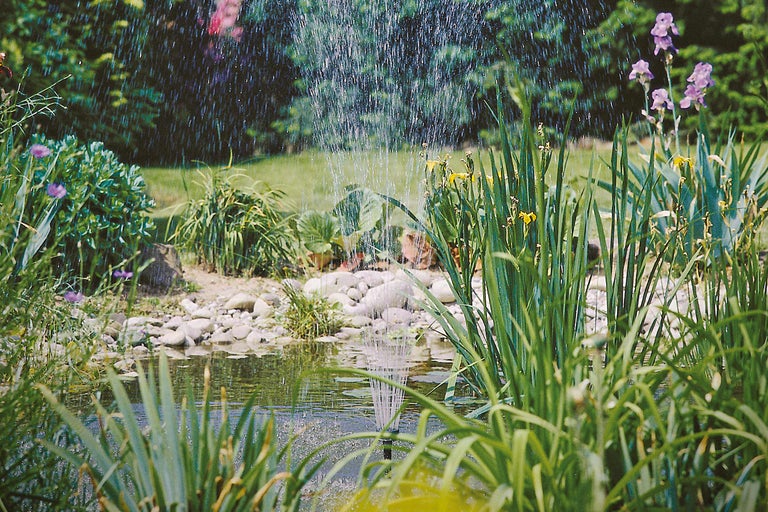 Vijver met fontein en weelderige oeverbeplanting in de tuin