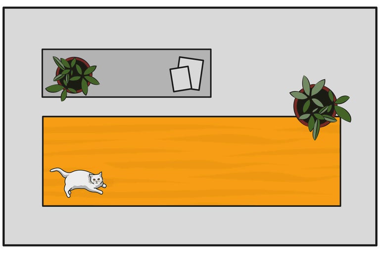 Bovenaanzicht van een kamer met houten vloer, planten, bijzettafel, foto's en een kat