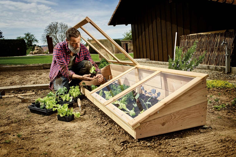 Man plant zaailingen in een houten koude bak met ramen