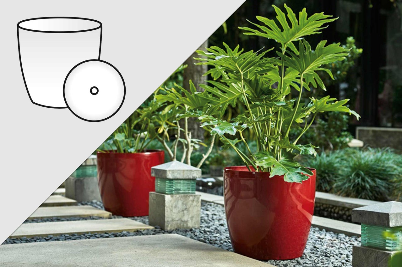 Decoratieve plantenbak met plant in de tuin