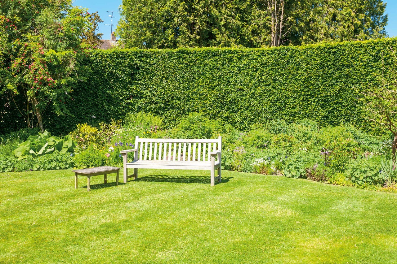 Tuin met gazon, heg, tuinbank en kleine tafel