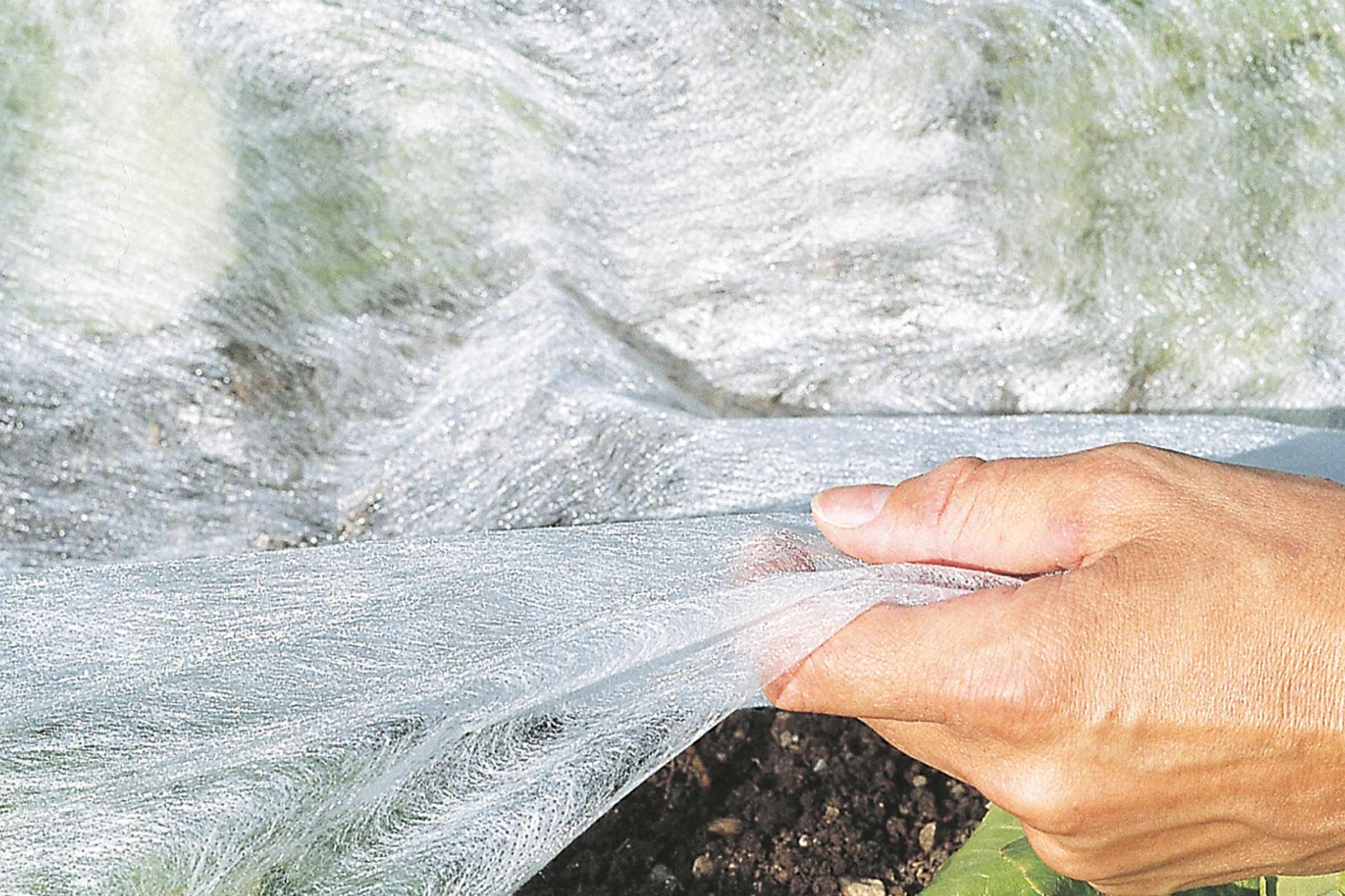 Beschermdoek voor planten in de tuin