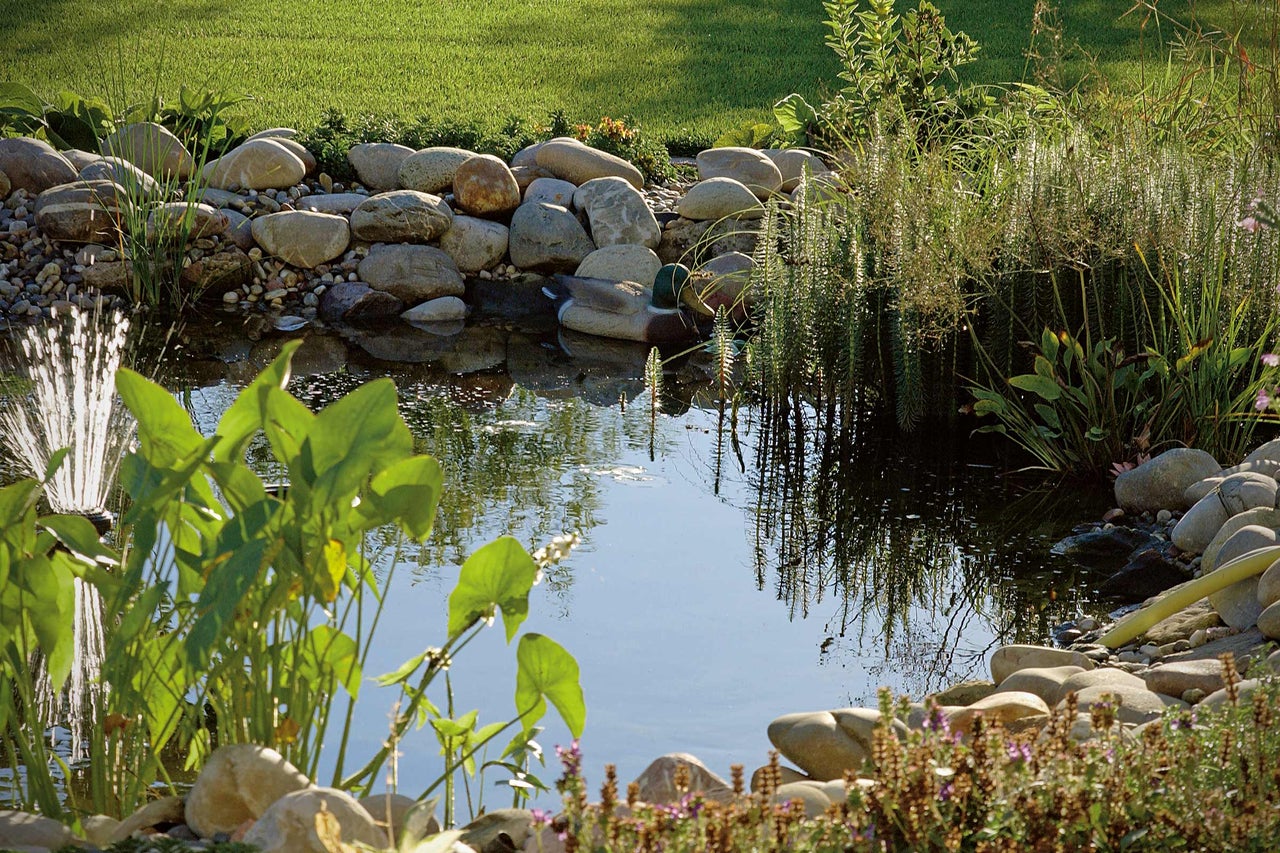 Vijver in de tuin met stenen, planten en een vijverornament
