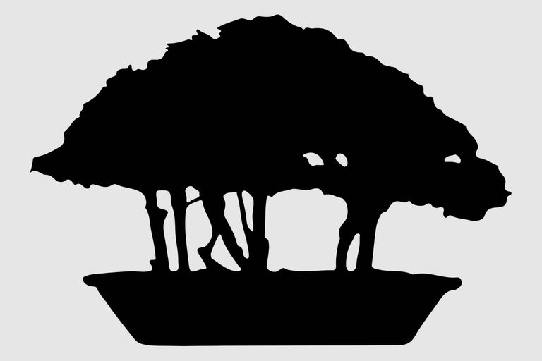 Silhouette van een bonsai boom in een schaal