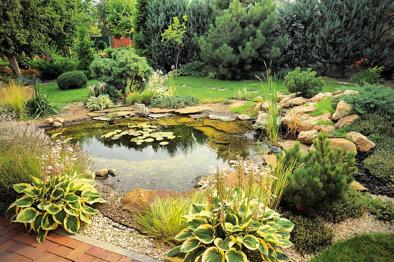 Aangelegde tuinvijver met oeverbeplanting, stenen en waterplanten.