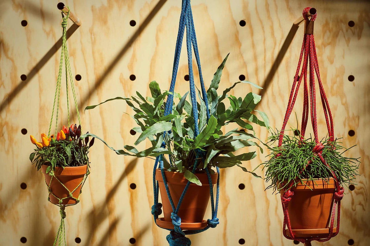 Drie hangplanten in macramé plantenhangers