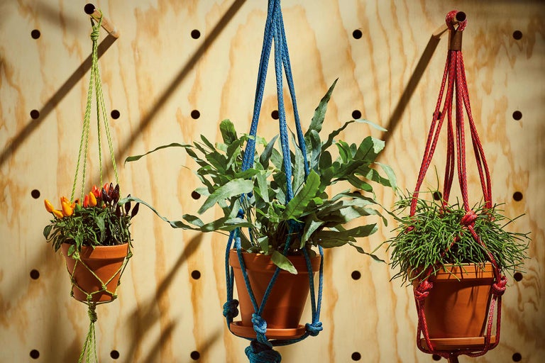 Drie hangplanten in macramé plantenhangers