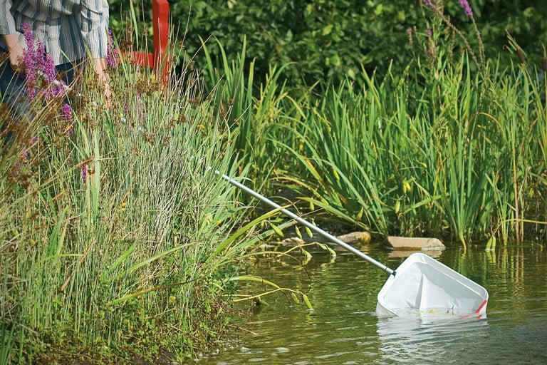 Persoon met een vijvernet in het water om vuil en plantenresten te verwijderen.