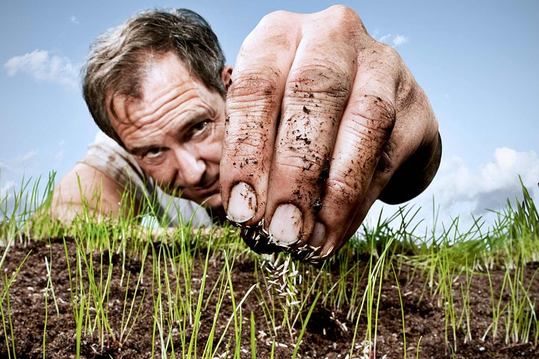 Man zaait gazonzaden op een gazon
