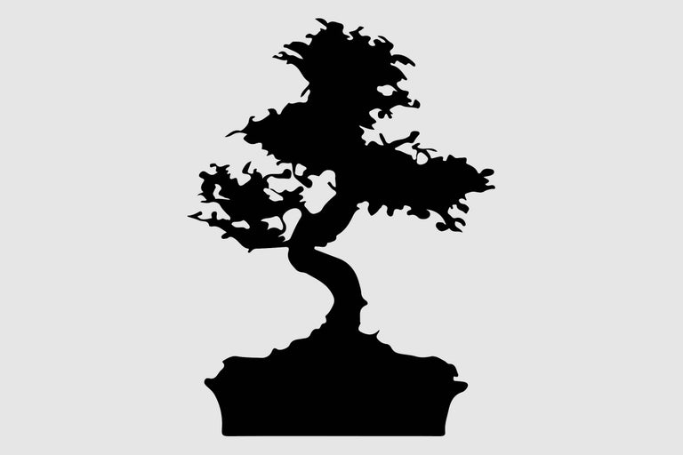 Silhouette van een bonsai boom in een pot