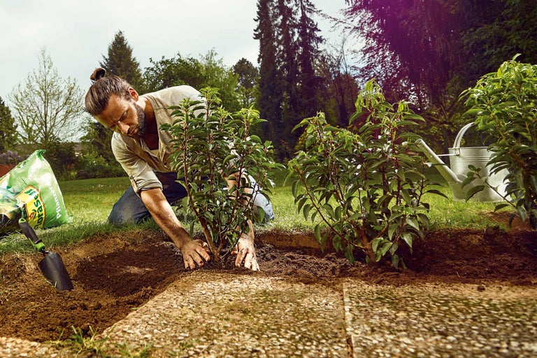 Man plant jonge struiken in de tuin met potgrond, een schep en een gieter.