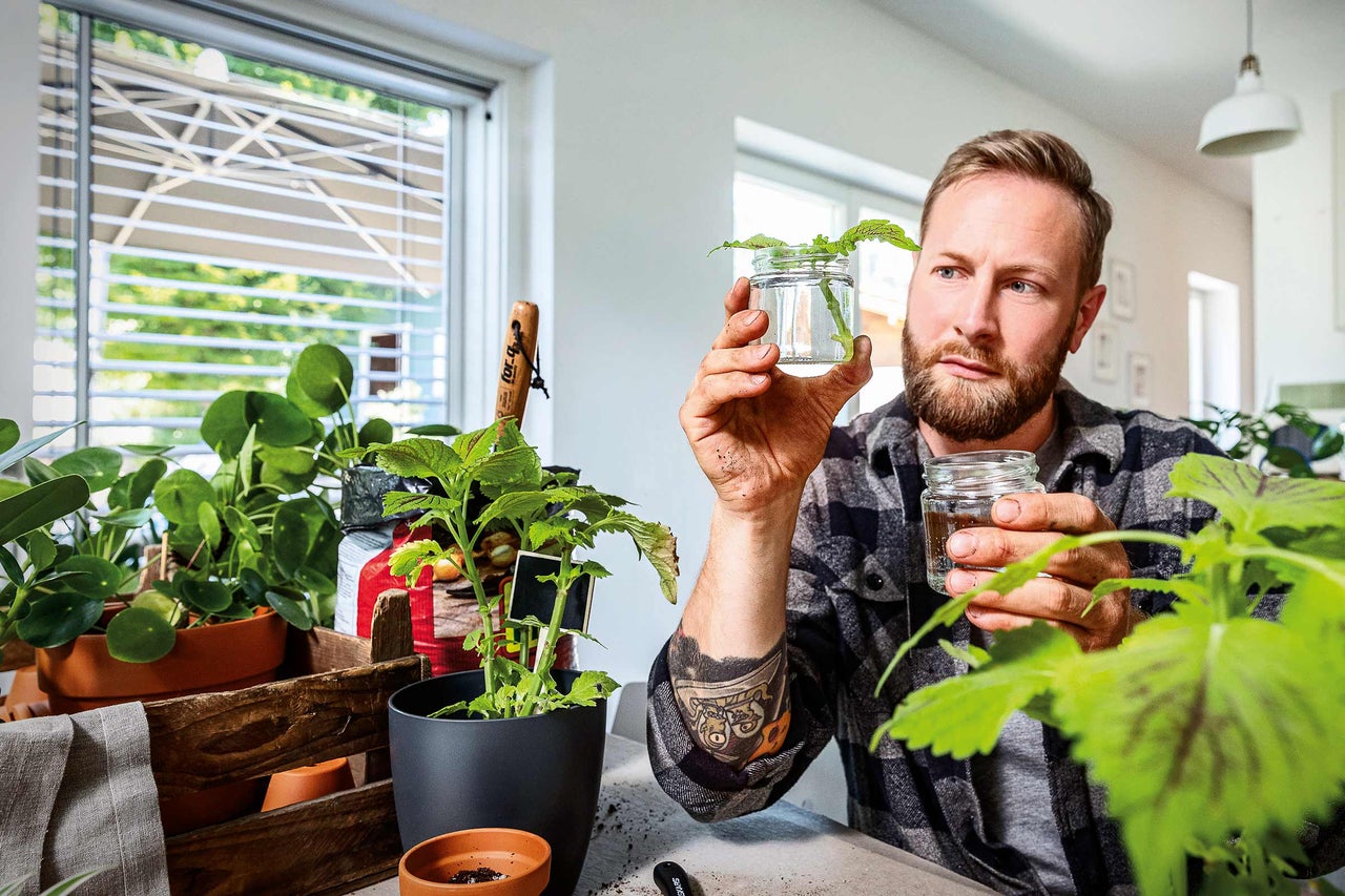 Man bekijkt stekjes van planten in glazen potten, omringd door plantenpotten en tuingereedschap.