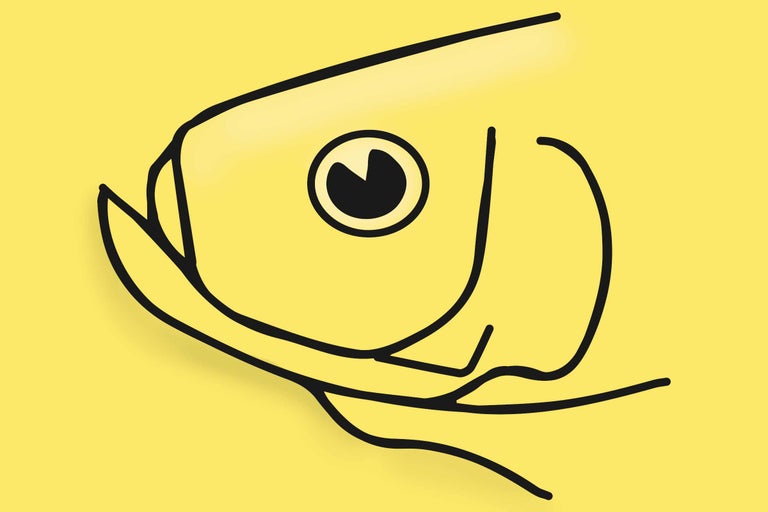 Illustratie van een viskop