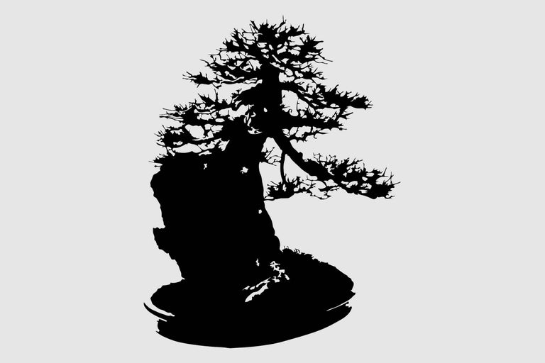 Silhouette van een Bonsai Boom
