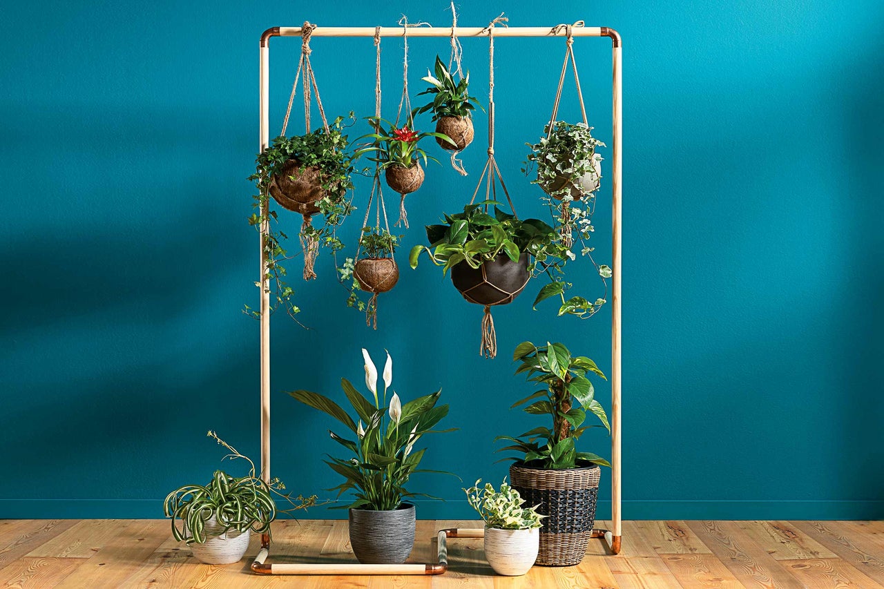 Arrangement met kamerplanten in hangmanden en bloempotten op een plantenstandaard
