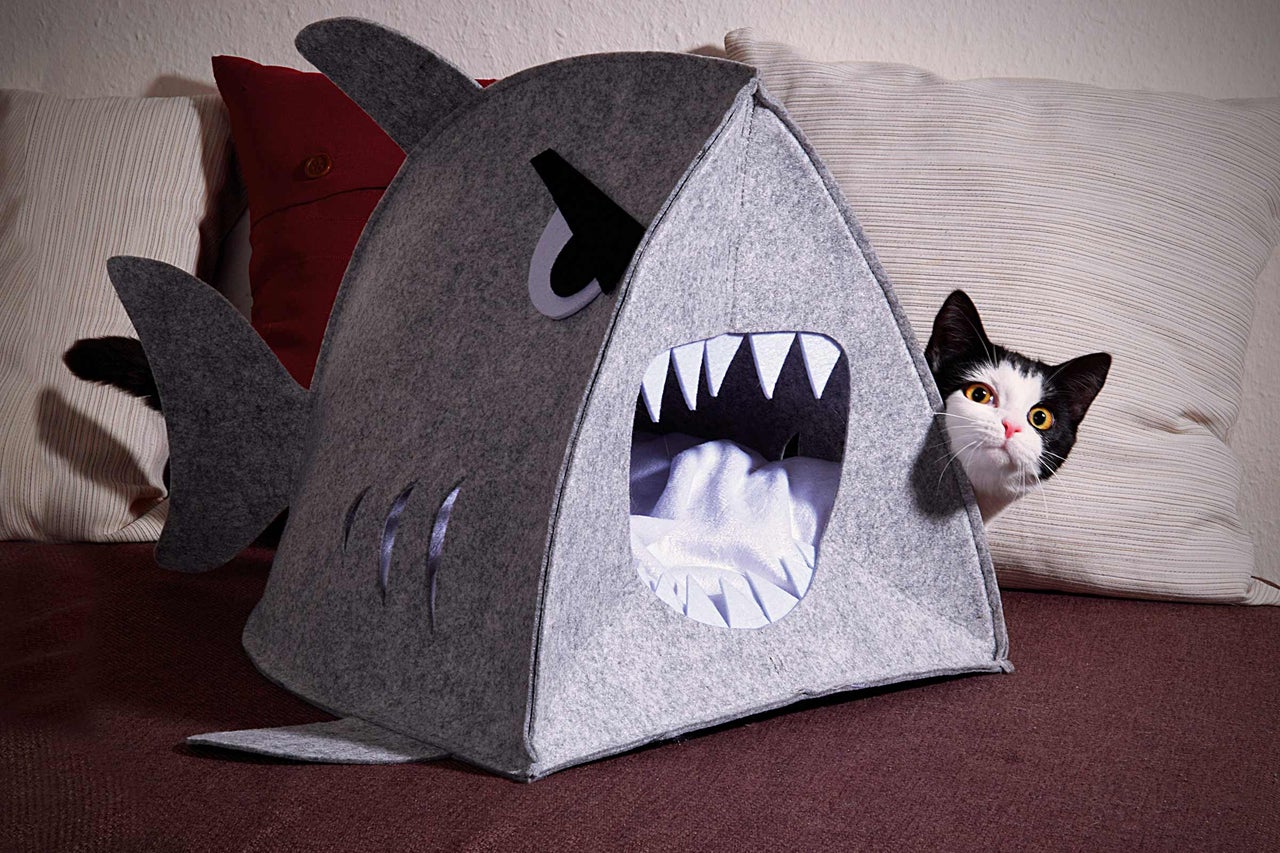 Grijs kattenhuis in haaienvorm met een kat die eruit kijkt