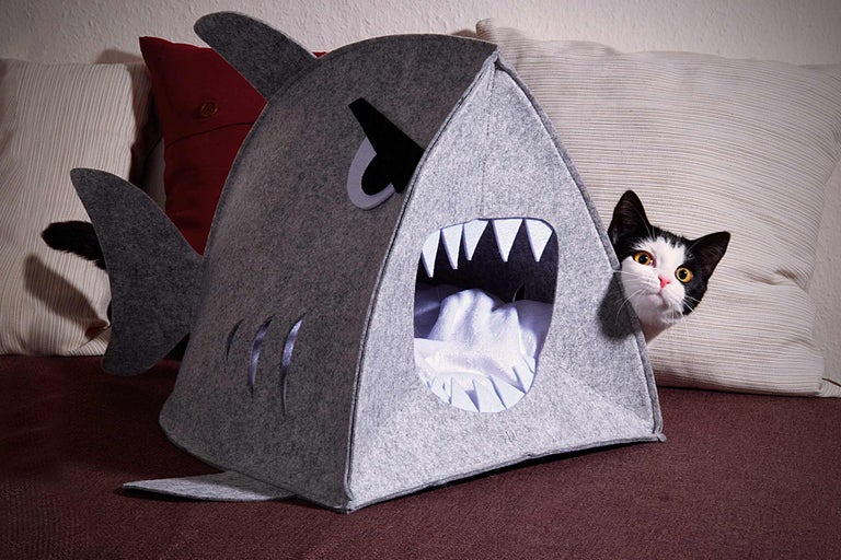 Grijs kattenhuis in haaienvorm met een kat die eruit kijkt