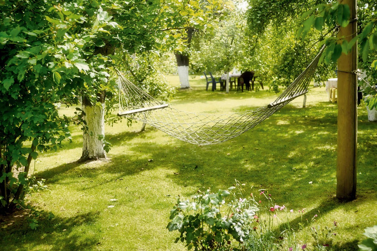 Hangmat opgezet in de tuin tussen de bomen