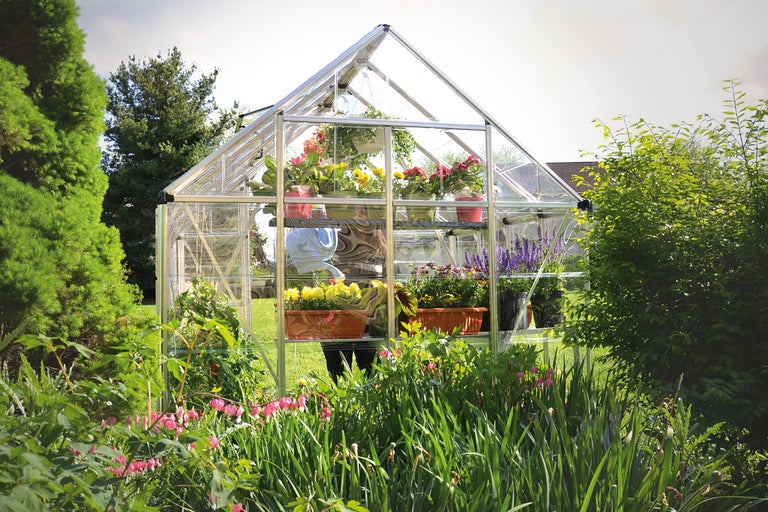 Kas met planten in de tuin.