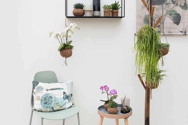 Decoratieve kamerplanten en woonaccessoires in een lichte ruimte.