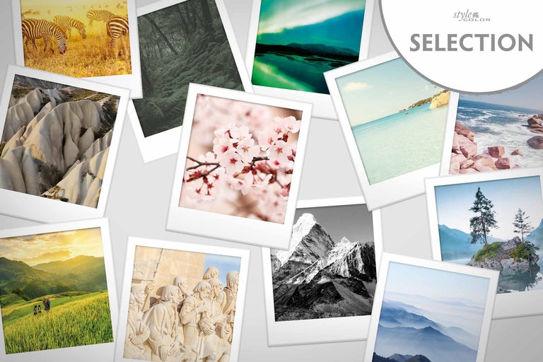 Collage van reisfoto's met landschappen en dieren