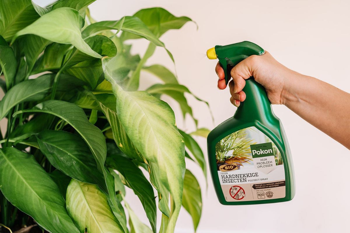 Spuitfles insectenspray in gebruik op plant