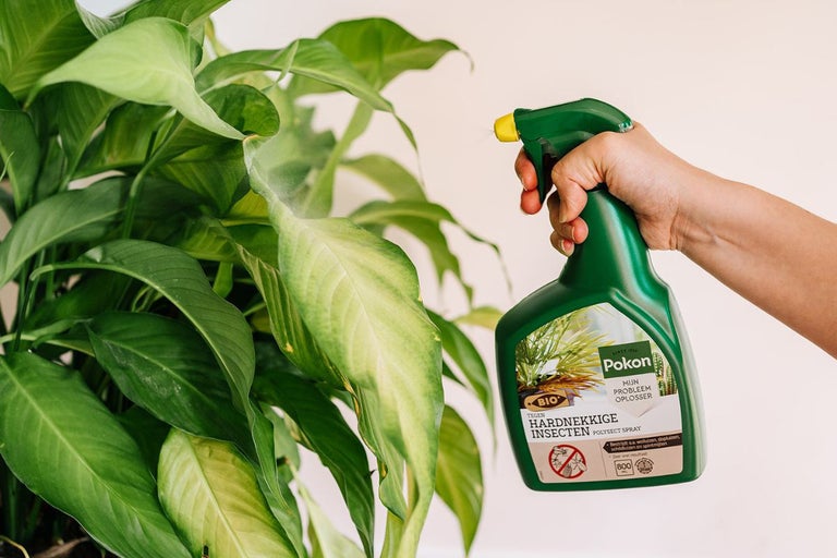 Spuitfles insectenspray in gebruik op plant