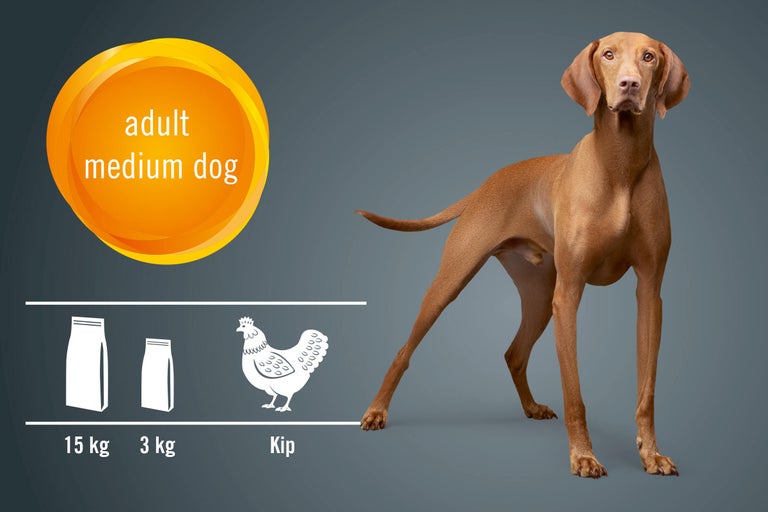 Illustratie van hondenvoer voor volwassen, middelgrote honden met kipsmaak, verkrijgbaar in verpakkingen van 15 kilogram en 3 kilogram.