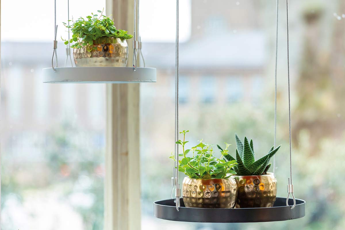 Hangende plantenarrangementen met planten in gouden potten op ronde plateaus voor een raam
