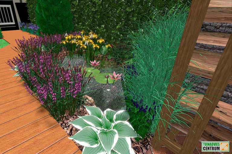 Aangelegde tuinvijver met oeverbeplanting en houten terras