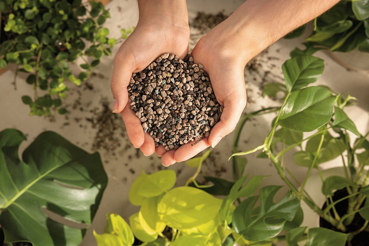 Handen houden hydrokorrels voor planten vast, omringd door groene planten