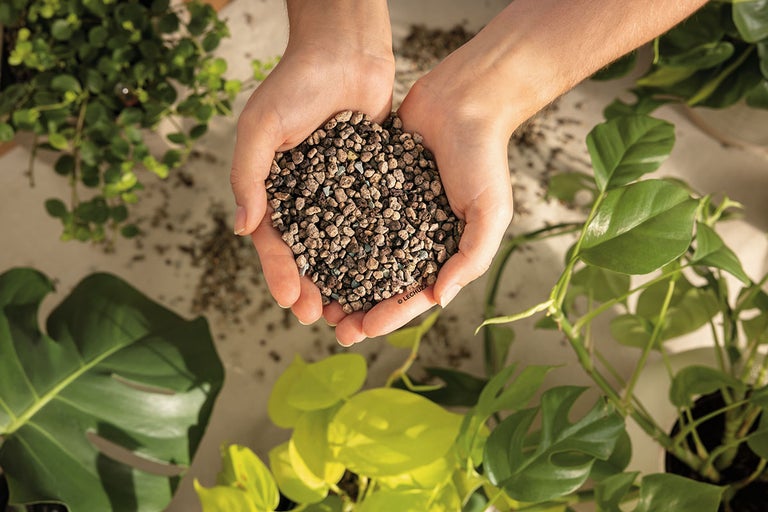 Handen houden hydrokorrels voor planten vast, omringd door groene planten