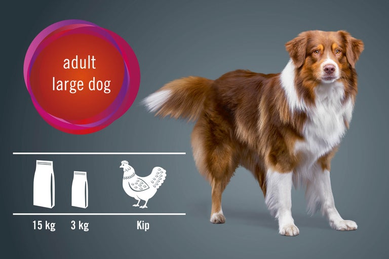 Illustratie van hondenvoer voor grote, volwassen honden, met kipsmaak in verpakkingen van 15 kilogram en 3 kilogram.