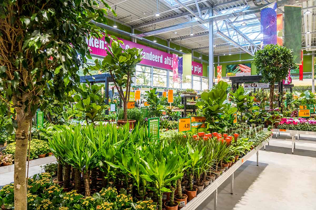 Overzicht van verschillende kamerplanten op tafels in een helder tuincentrum.