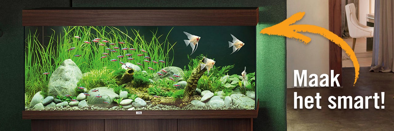 Aquariumcombinatie met vissen, waterplanten en slimme verlichting op een donker houten meubel.