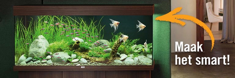 Aquariumcombinatie met vissen, waterplanten en slimme verlichting op een donker houten meubel.