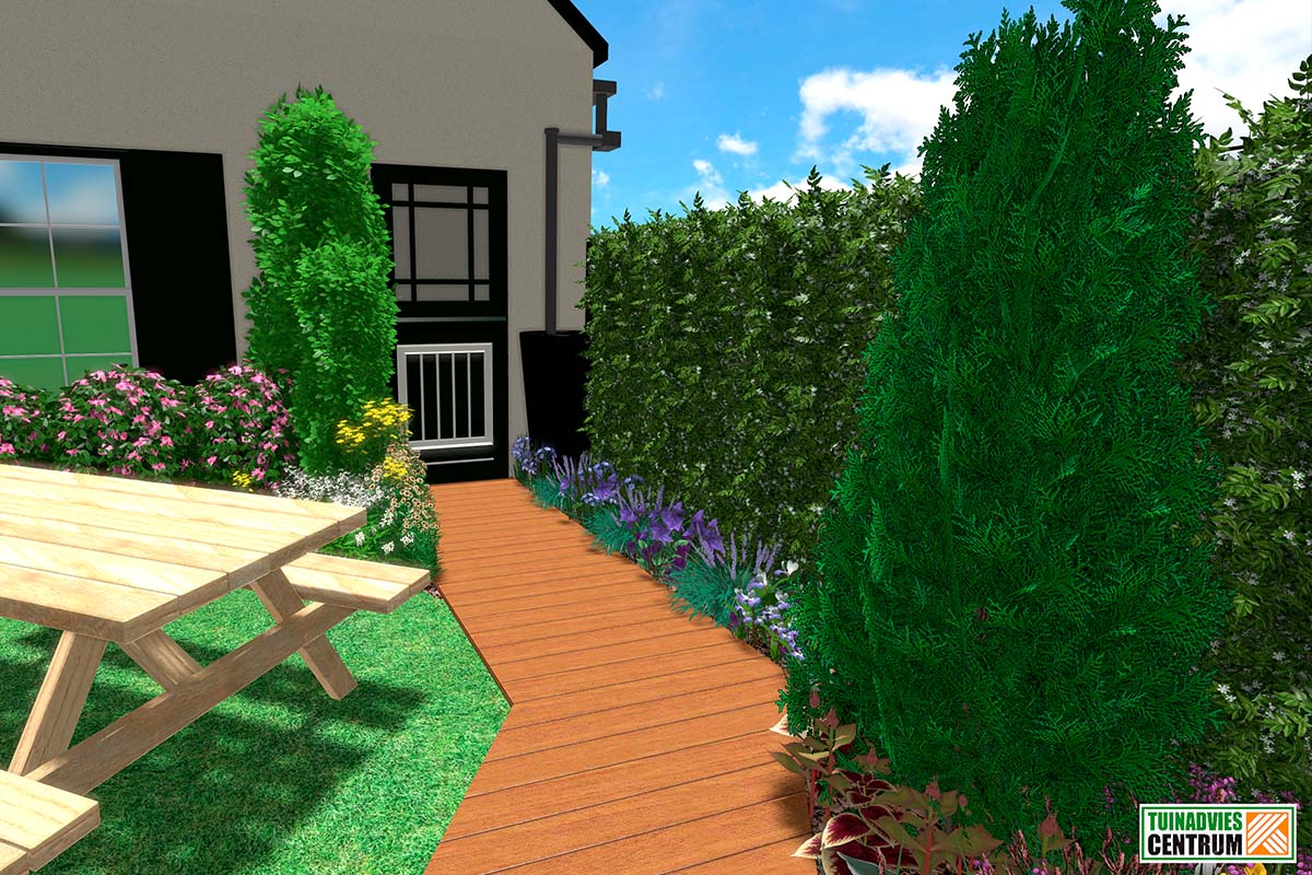 Tuinscène met houten banken, planten en houten vloer