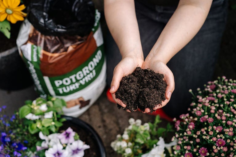 Handen houden potgrond vast; op de achtergrond een zak potgrond en bloemen