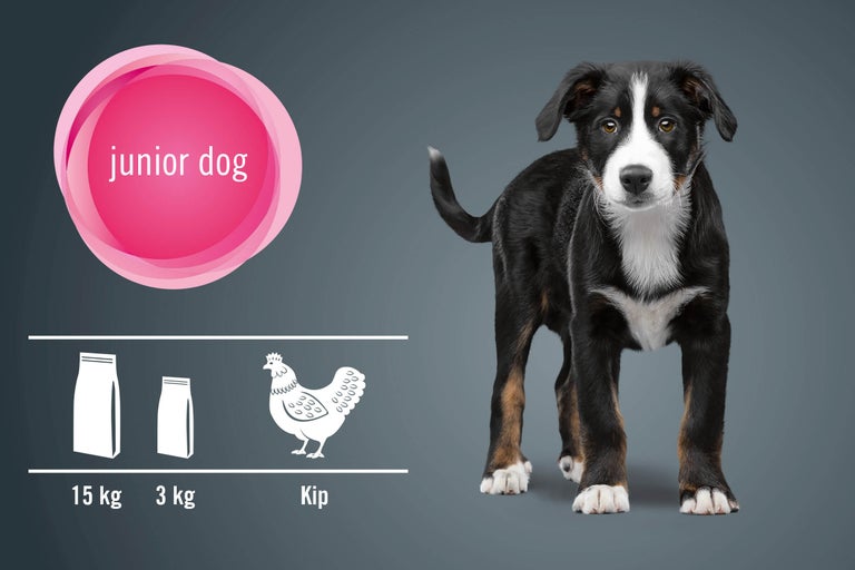 Illustratie voor junior hondenvoer met een jonge hond, een verpakking van 15 kilogram, een verpakking van 3 kilogram en de vermelding van kip.