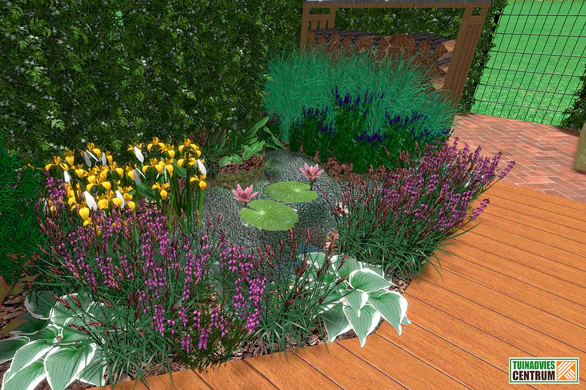 Aangelegde tuinvijver met oeverbeplanting en houten terras