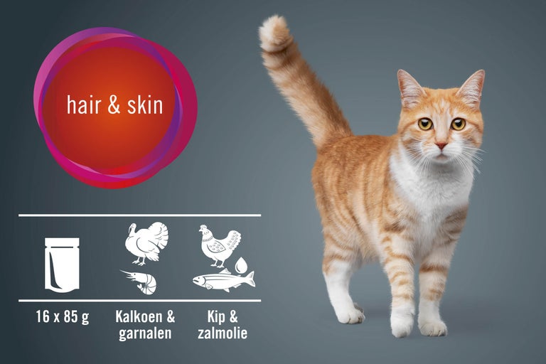 Kattenvoer voor haar en huid met kalkoen, garnalen, kip en zalmolie