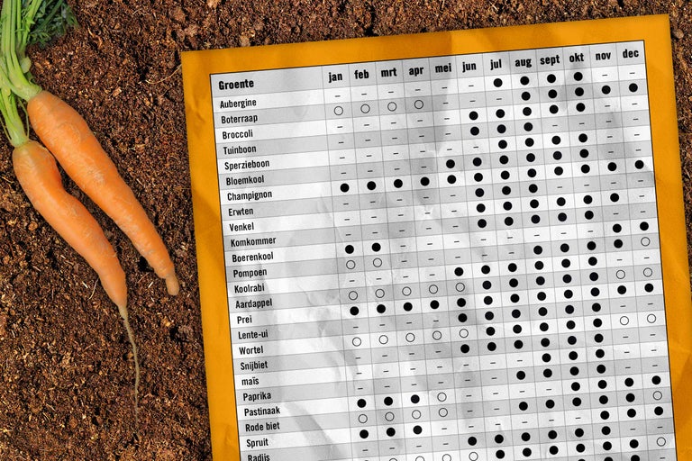 Groentesoorten en hun zaaitijden weergegeven op een zaaikalender, met wortelen aan de linkerkant.