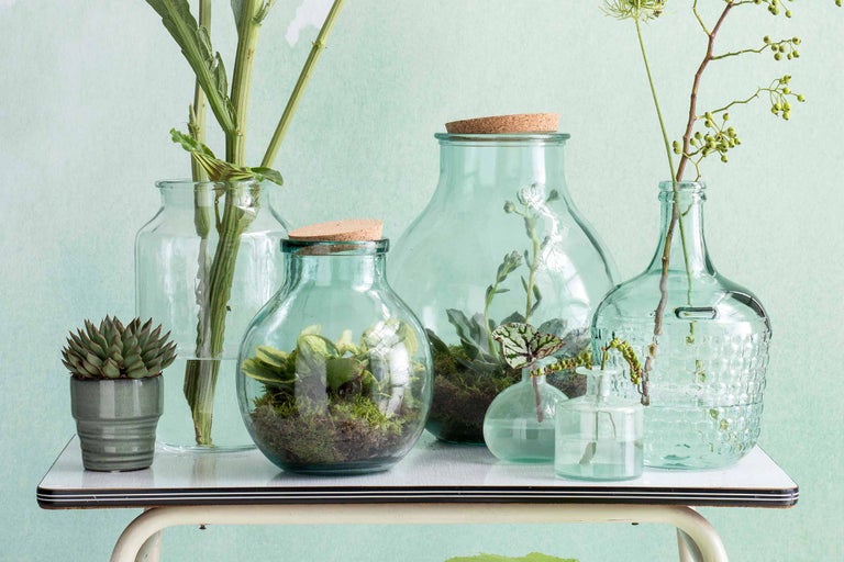 Diverse glazen vazen met planten en bloemen op een tafel