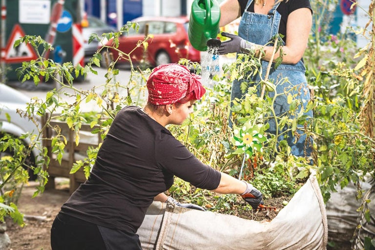 Twee vrouwen gieten en verzorgen planten in een verhoogde tuinbak op straat.